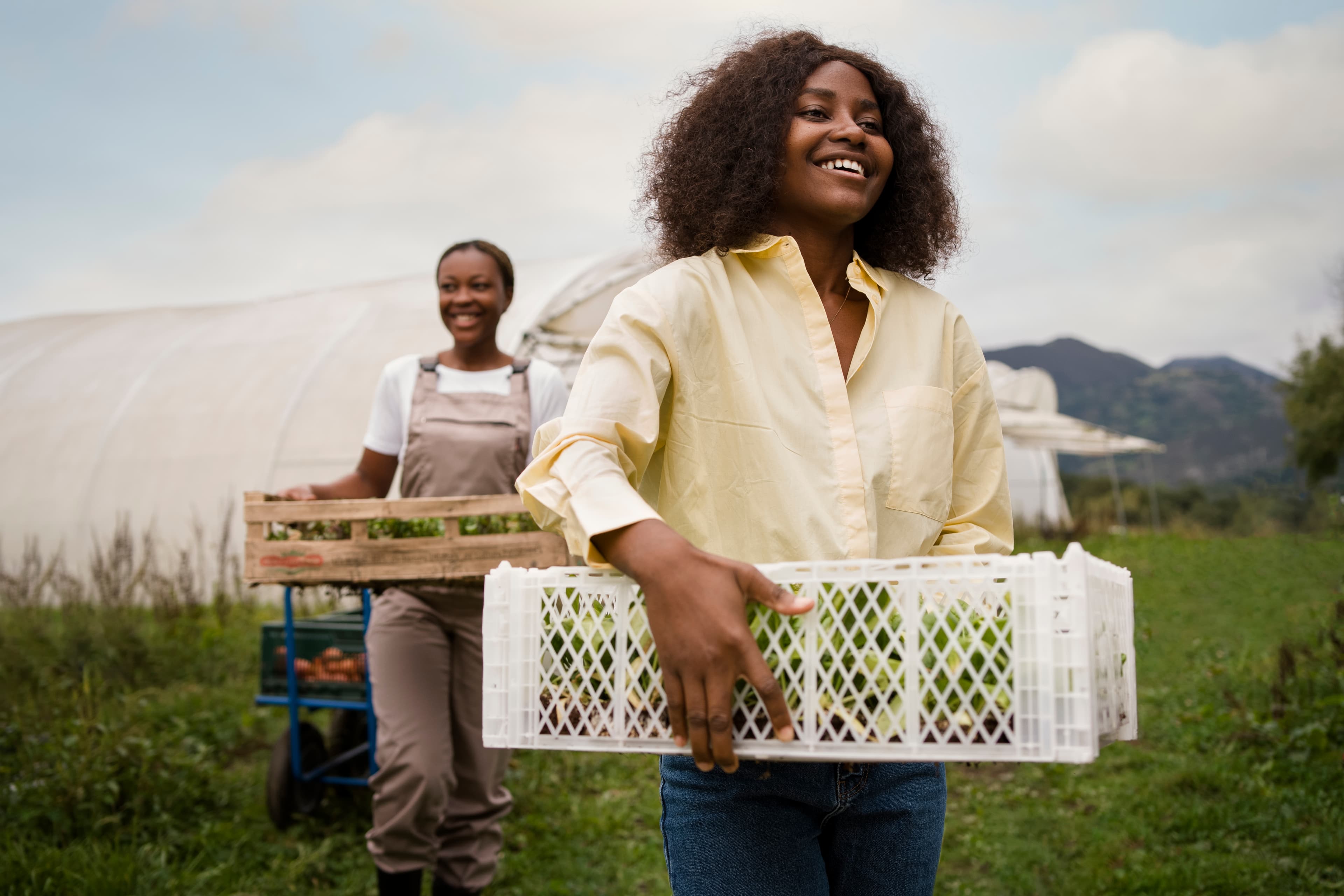 Growers and fresh produce moving through the Harvest Route network